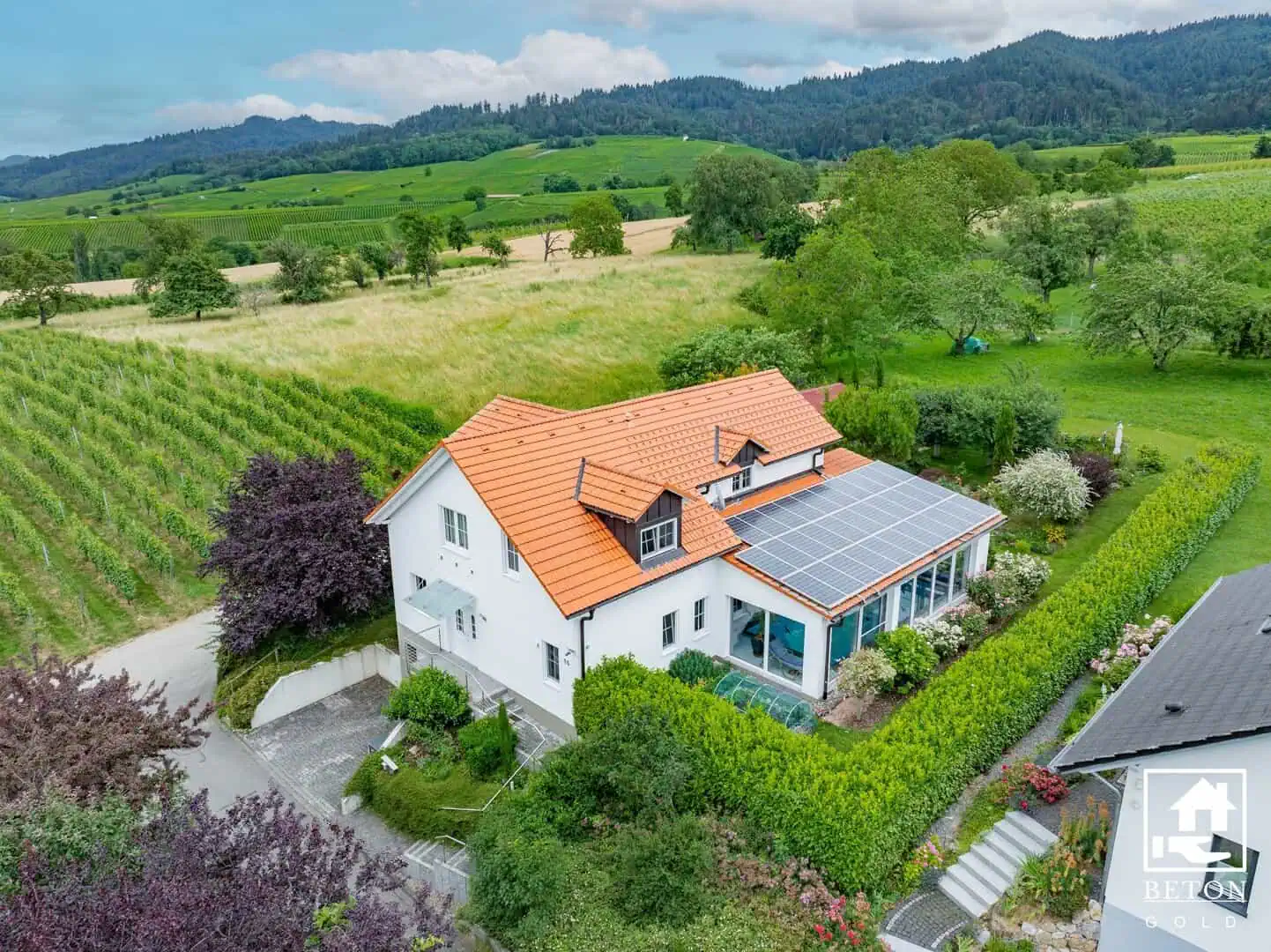 Moderne Website für Beton Gold Immobilien mit Hausansicht und professionellem Design von dbw media